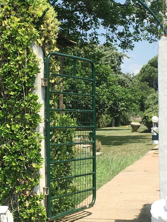 Estate Irene Villa Alexandroúpolis Luaran gambar