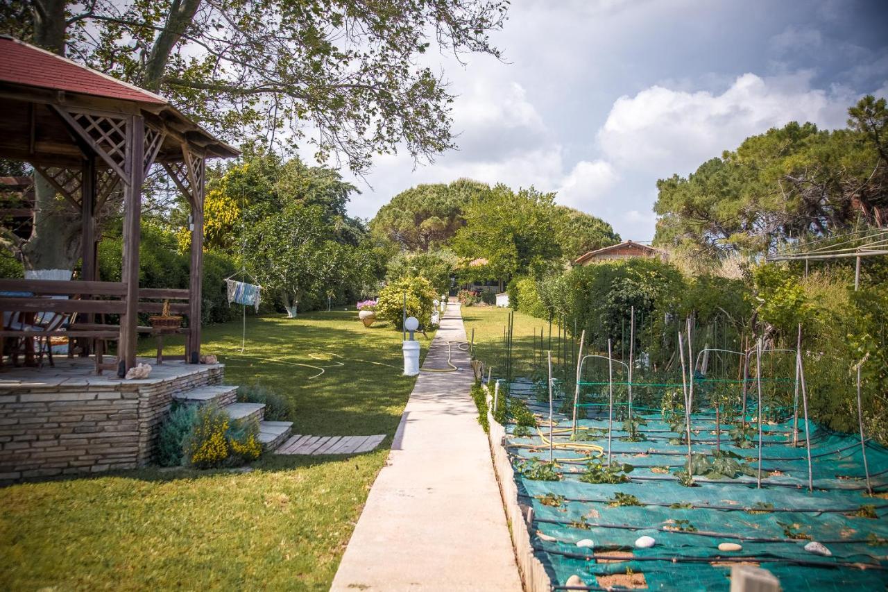 Estate Irene Villa Alexandroúpolis Luaran gambar